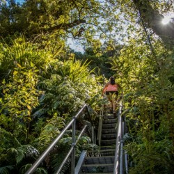 7. Keeping active on the Curtis Falls Track