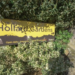 Hollard Gardens