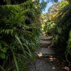 Mount Taranaki Summit Track