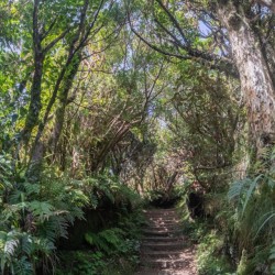 Mount Taranaki Summit Track