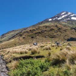 Mount Taranaki Summit Track