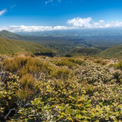 Mount Taranaki Summit Track