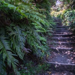 Mount Taranaki Summit Track