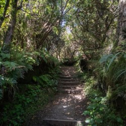 Mount Taranaki Summit Track