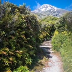 Mount Taranaki Summit Track