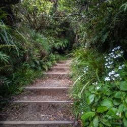 Mount Taranaki Summit Track