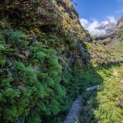 Mount Taranaki Summit Track