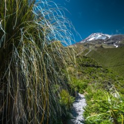 Mount Taranaki Summit Track