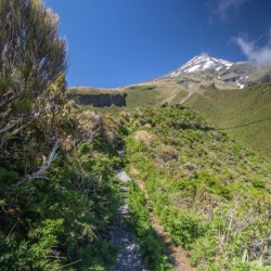 Mount Taranaki Summit Track