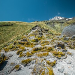 Mount Taranaki Summit Track