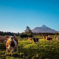 Mount Taranaki