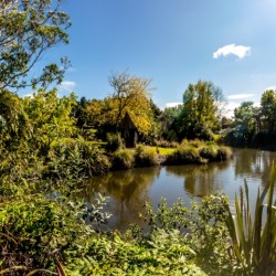 The Lake at Pioneer Village