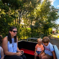 Train Ride Stratford