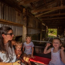 Pioneer Village Train Experience