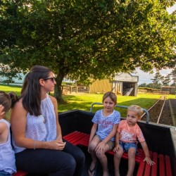 Park Train Ride Taranaki