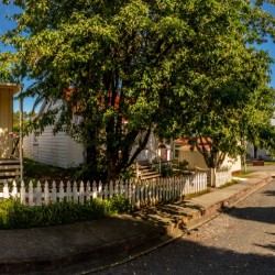 Pioneer Village Road