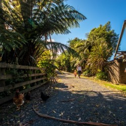 Lake Walk at Pioneer Village