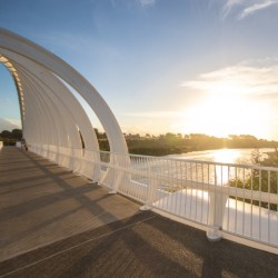 Te Rewa Rewa Bridge