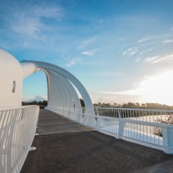 Te Rewa Rewa Bridge