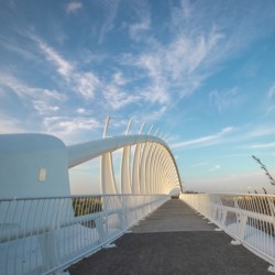 Te Rewa Rewa Bridge