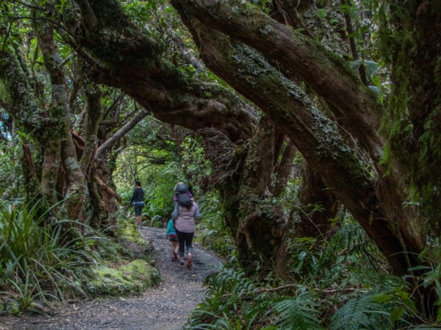 Discover Mount Taranaki