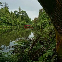 Pukekura Park