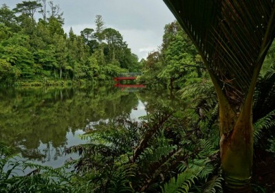 10 Things not to miss in Taranaki