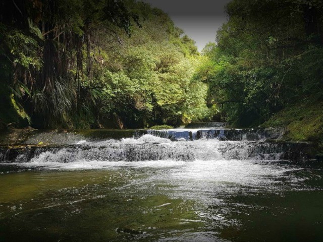 Cardiff Centennial Walkway