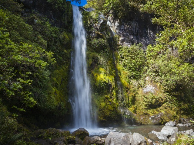 Dawson Falls