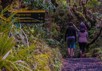 Wilkies Pools Mountain Walk