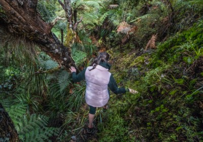 Whangamomona Saddle Walk